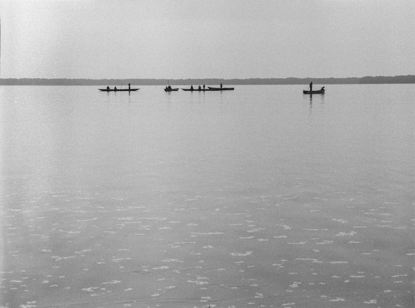 Canoas en la bruma de la Ciénaga Grande. Foto: Jorge Panchoaga