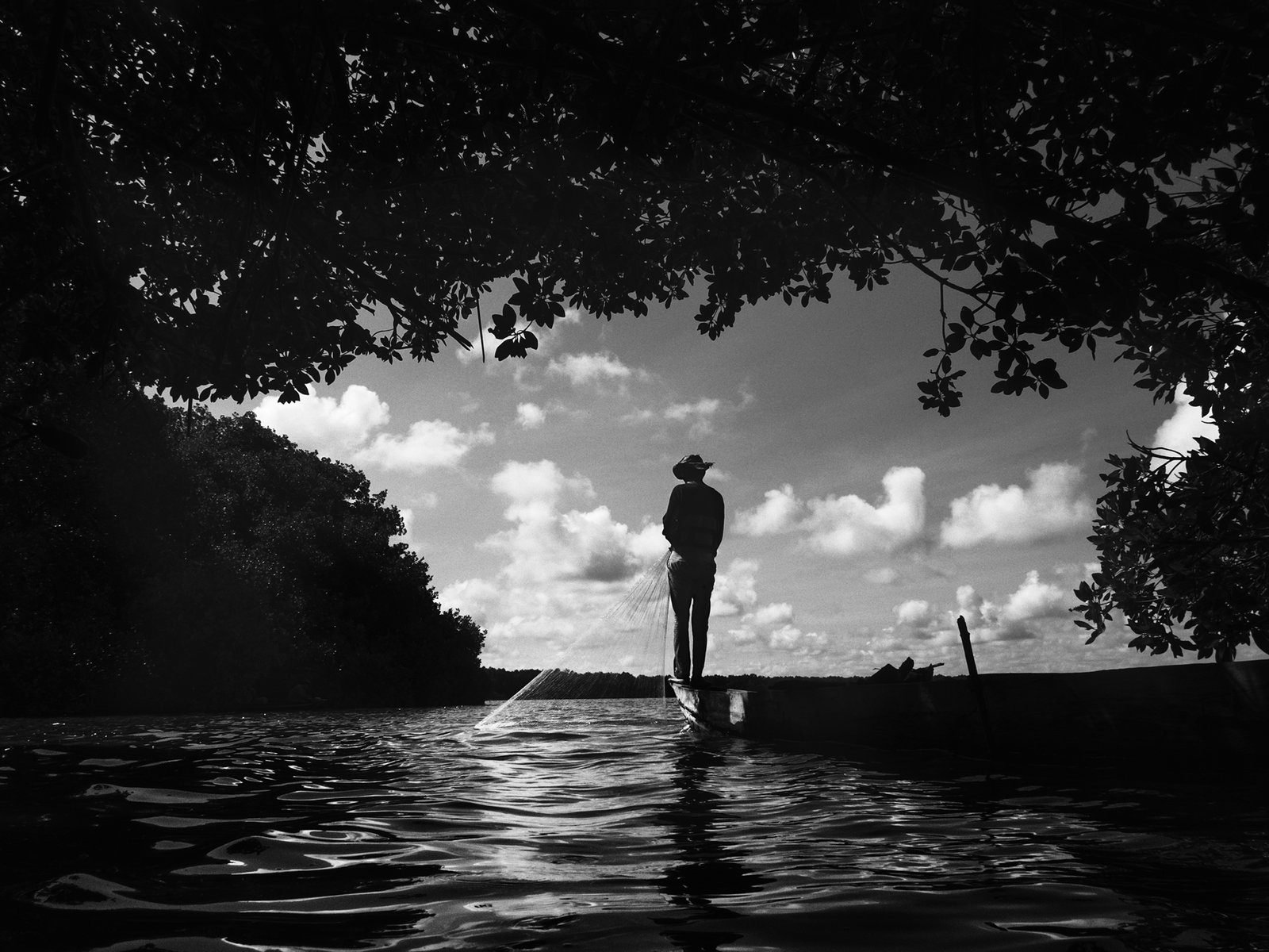 Un pescador de pie en una canoa entre los manglares de la Ciénaga Grande. Foto: Jorge Panchoaga
